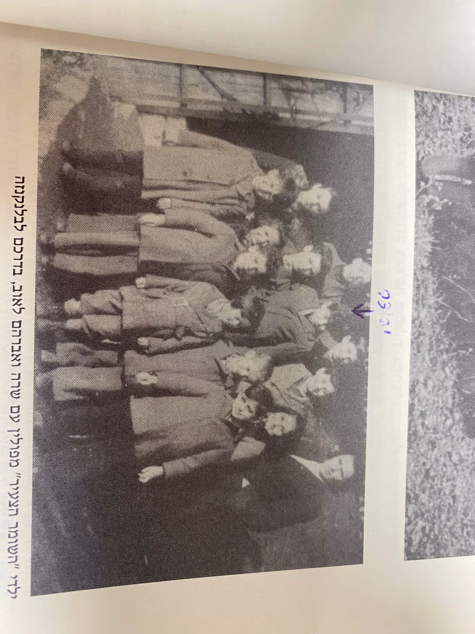 יהודה פרייז