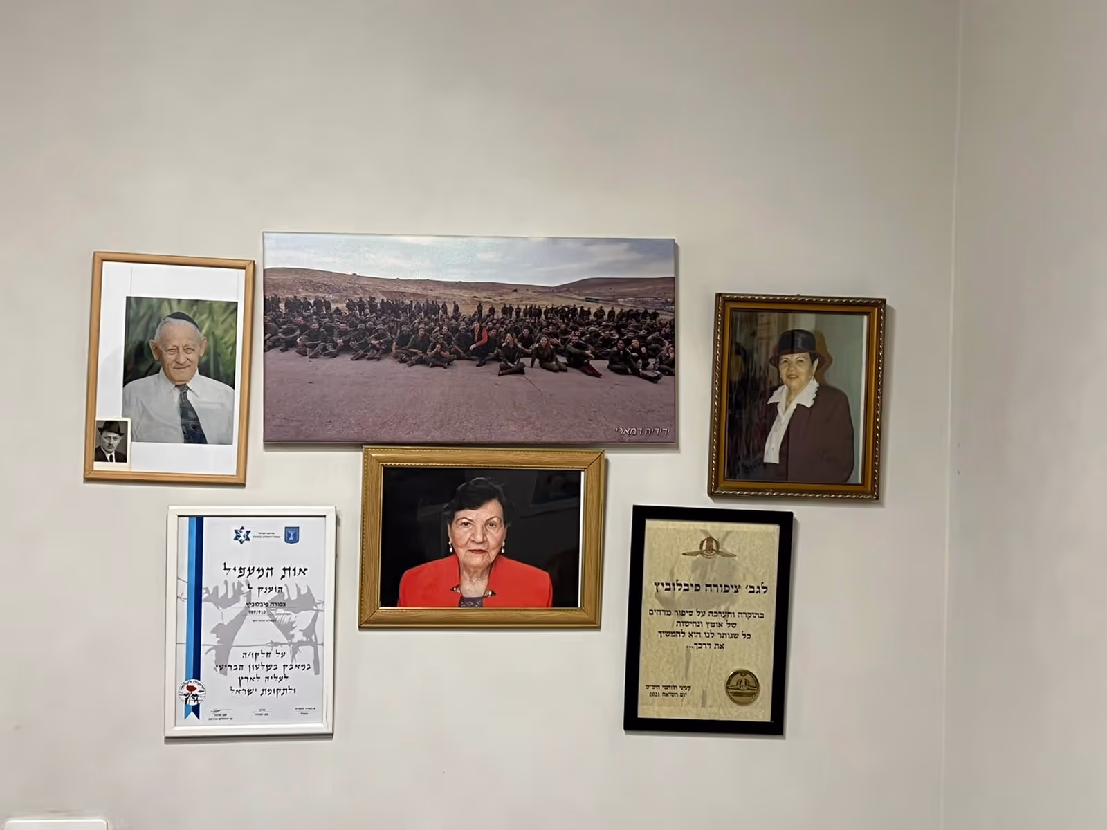חלק מתעודות ההוקרה הרבות של צפורה מיד ושם ומגורמים אחרים