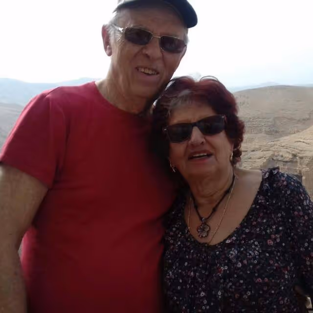 צבי שטול