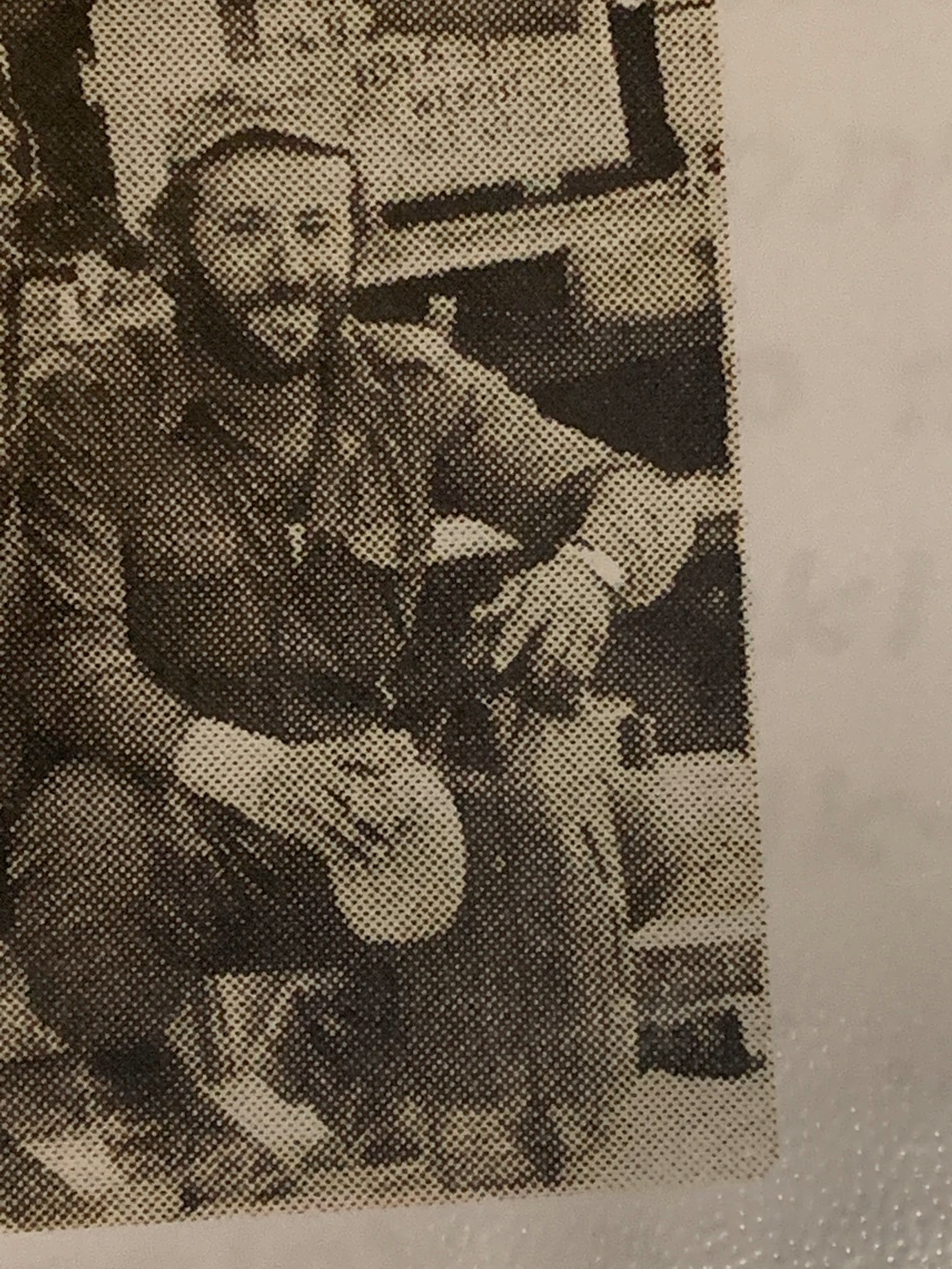מאיר הוס