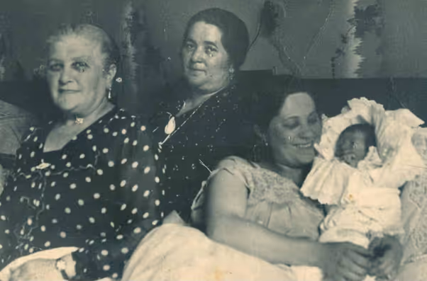 דויד סיבור