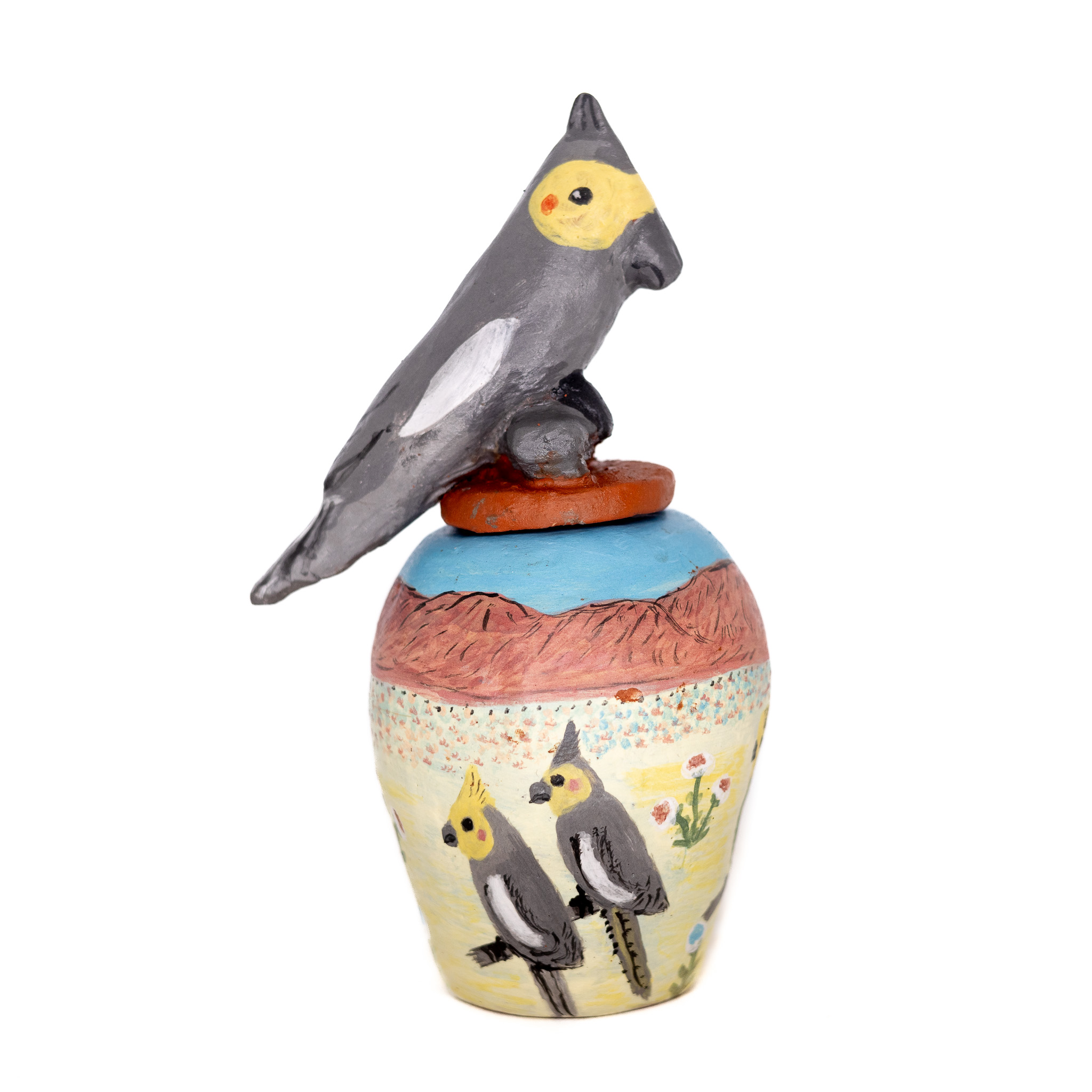 Central Australian Birds Ntaria DW40-26