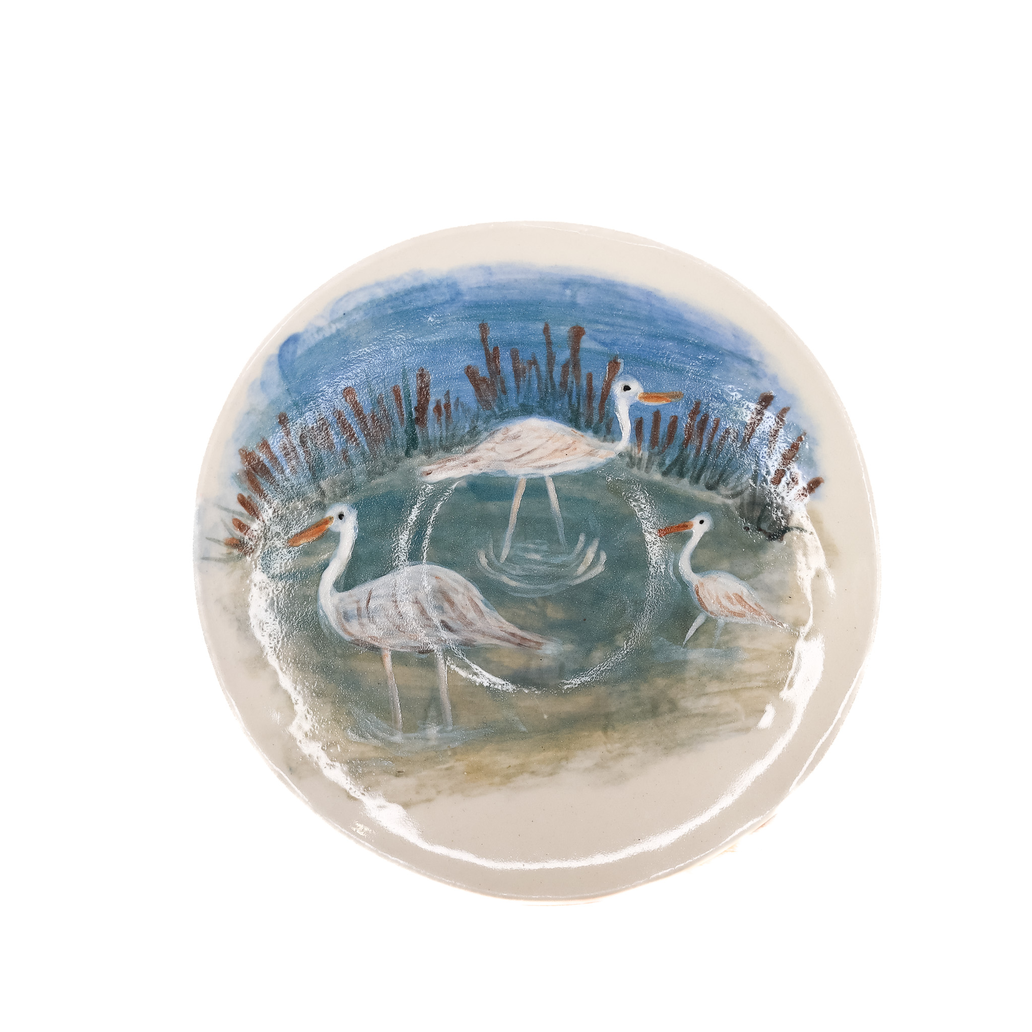 Untjwarra white-necked heron JI373-25