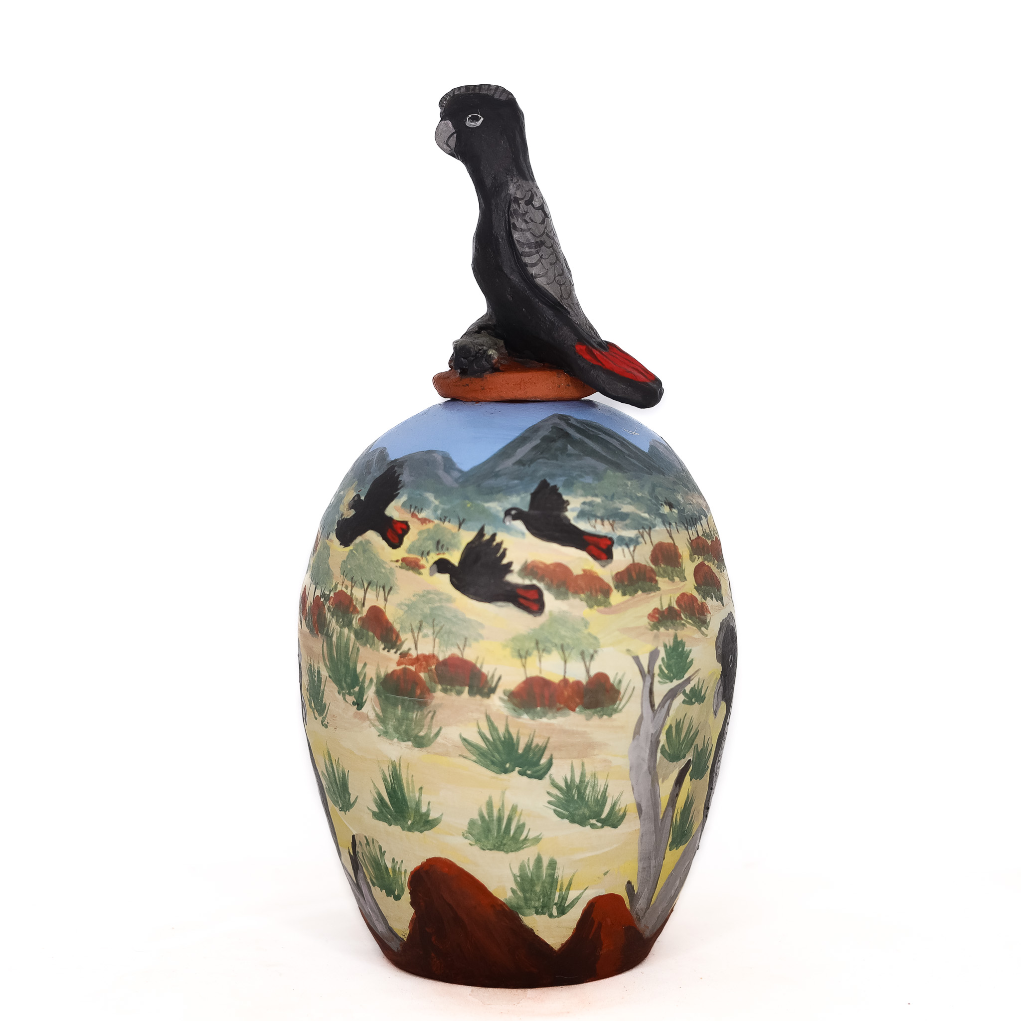 Erraarnta red-tailed black cockatoo JI49-26