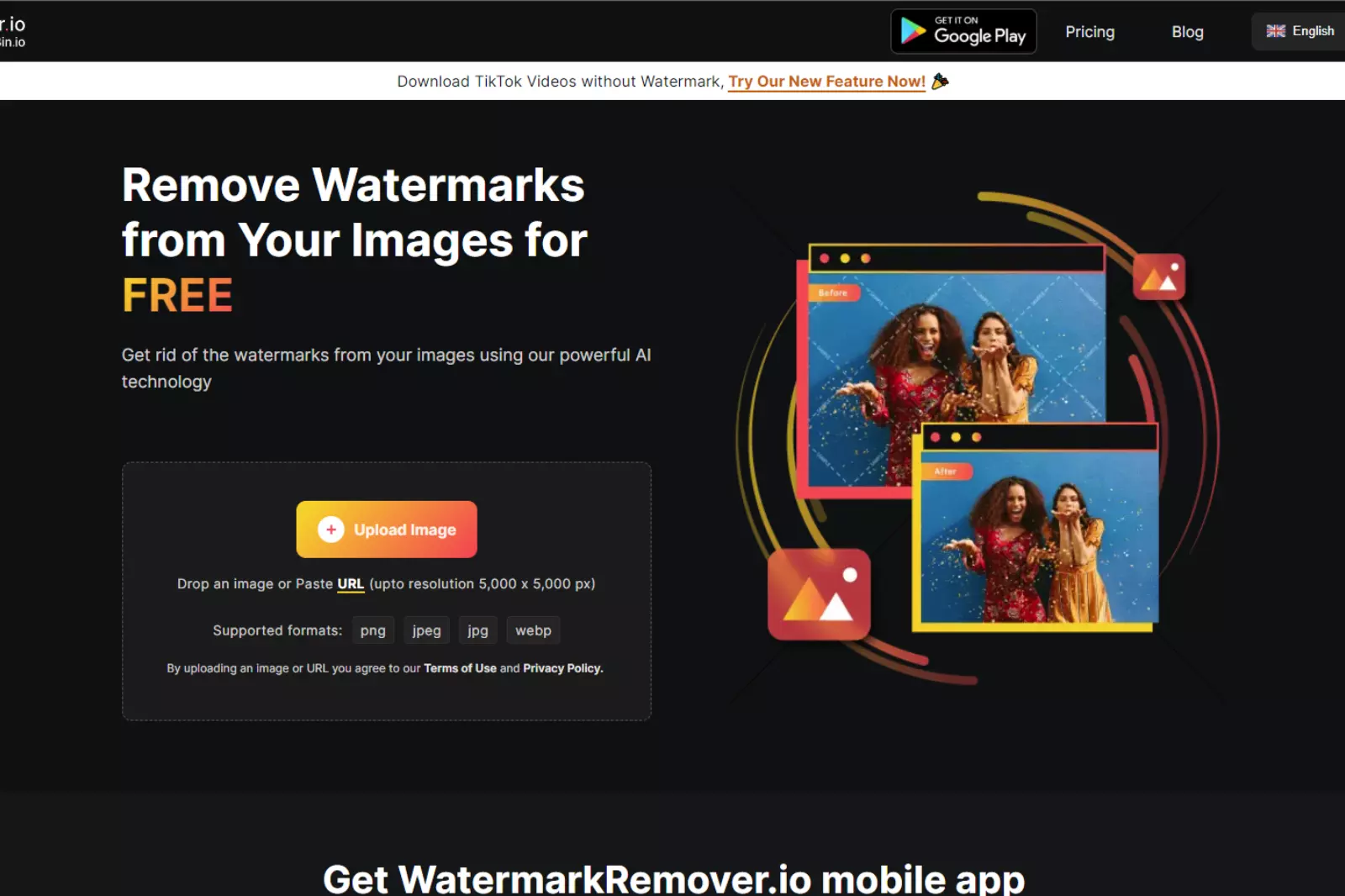 Home Page of WatermarkRemover.io