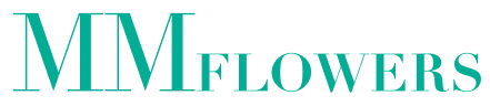 H&M logo
