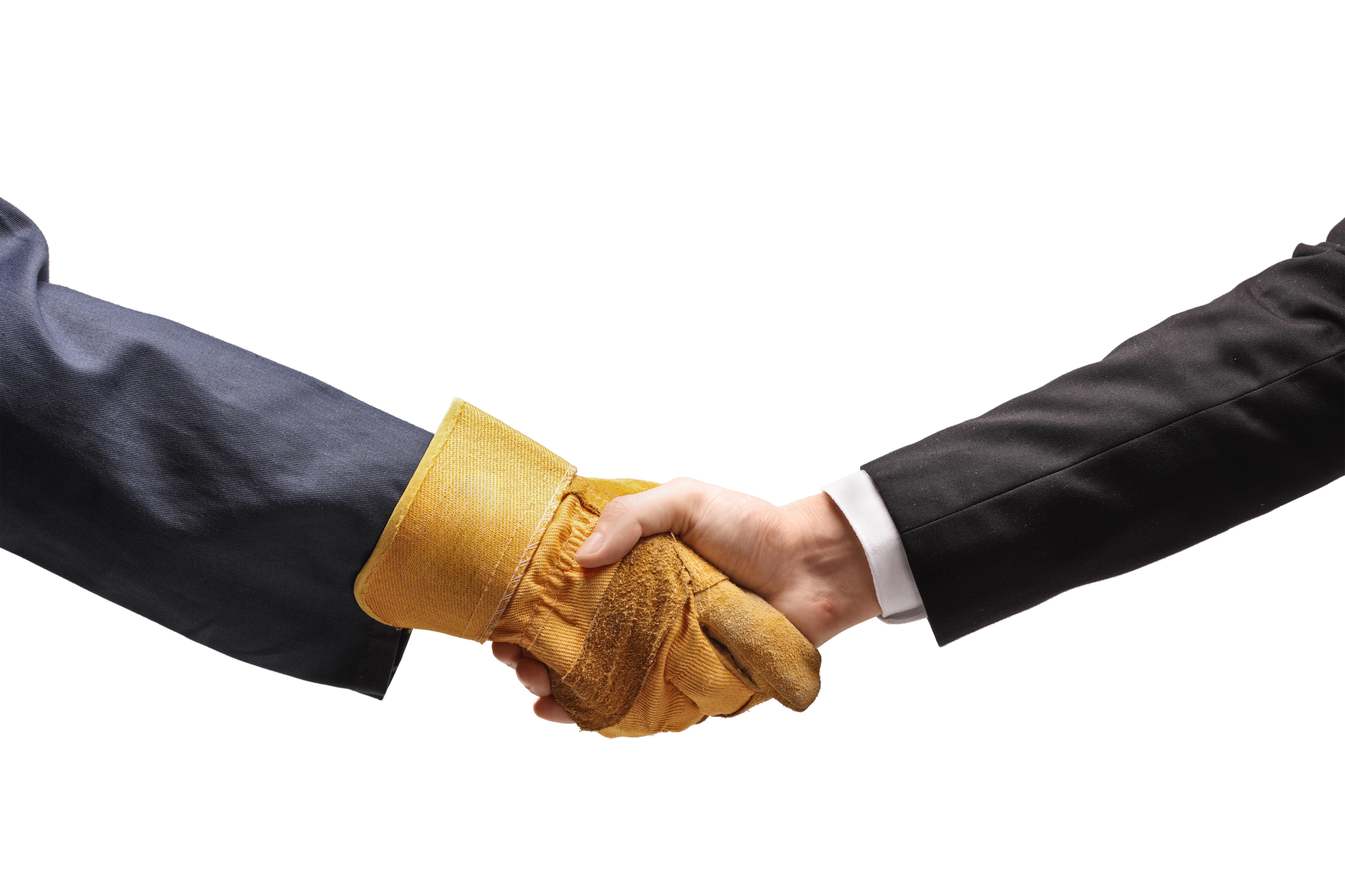 Blue Collar Workers vs White Collar Workers