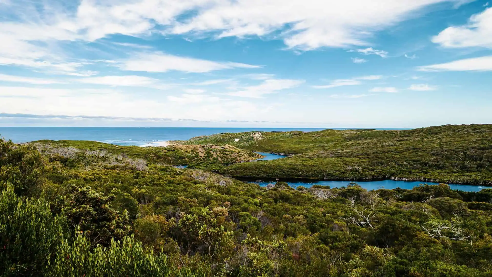 A view of the margaret river and surrounding woods