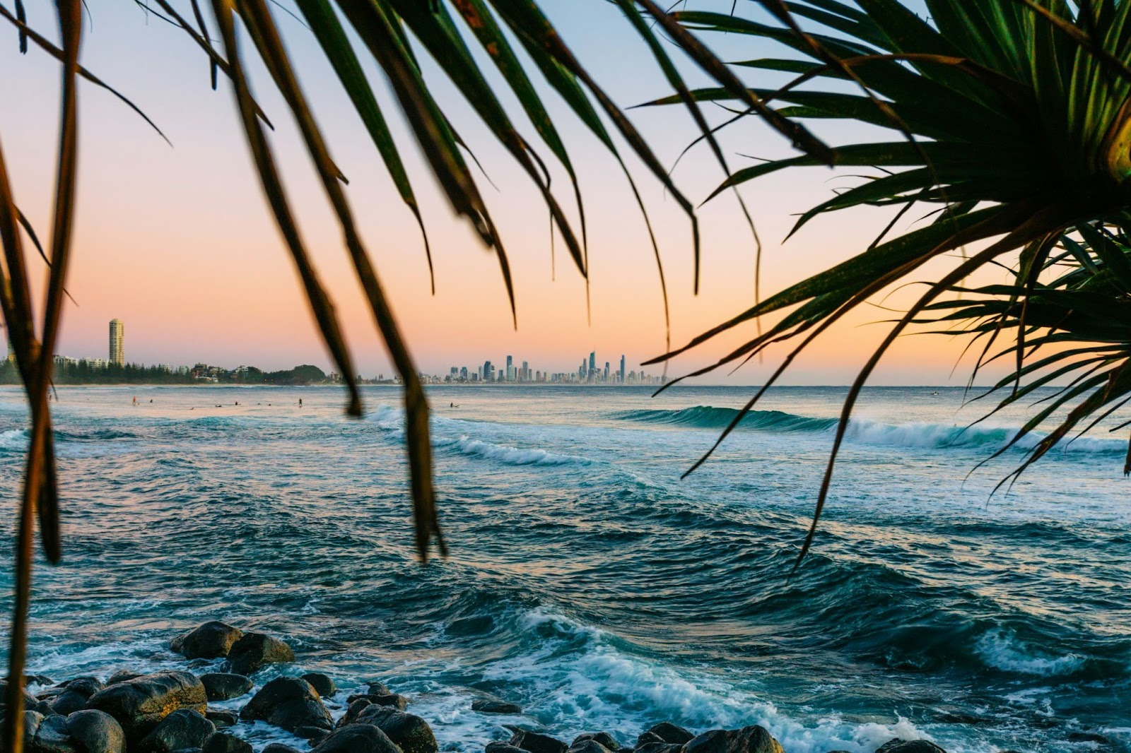 Photo of beach, sea, summer, and plant in Burleigh Heads, Australia.