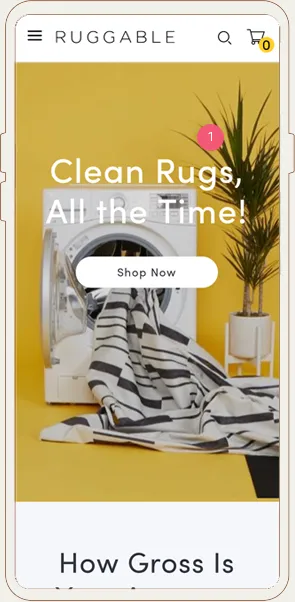 Ruggable Facebook Ads Landing Page