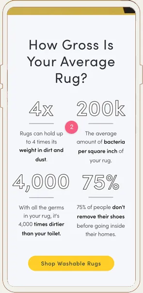 Ruggable Facebook Ads Landing Page