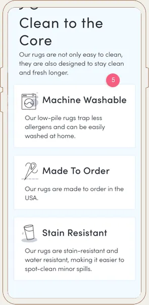 Ruggable Facebook Ads Landing Page