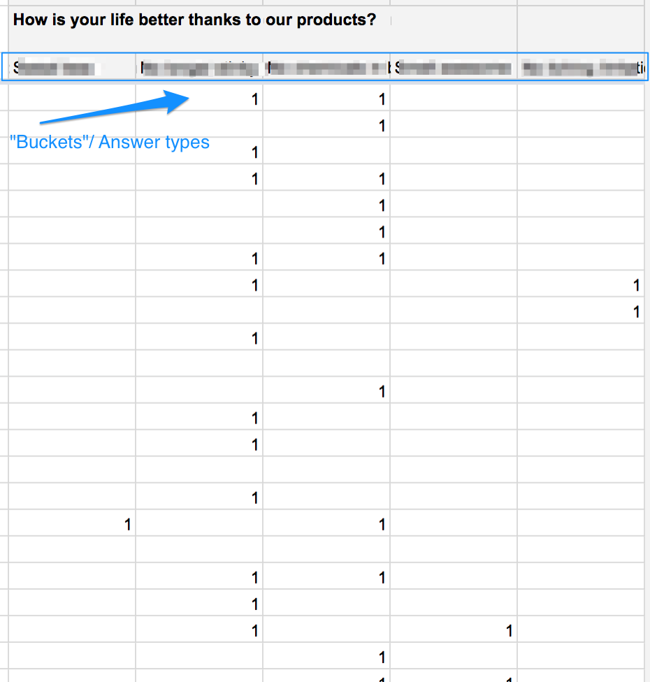 Survey codification process