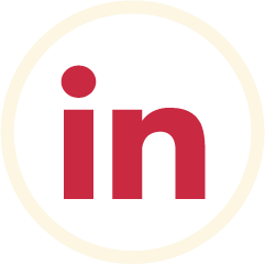 Website design Manchester with White Stag Media