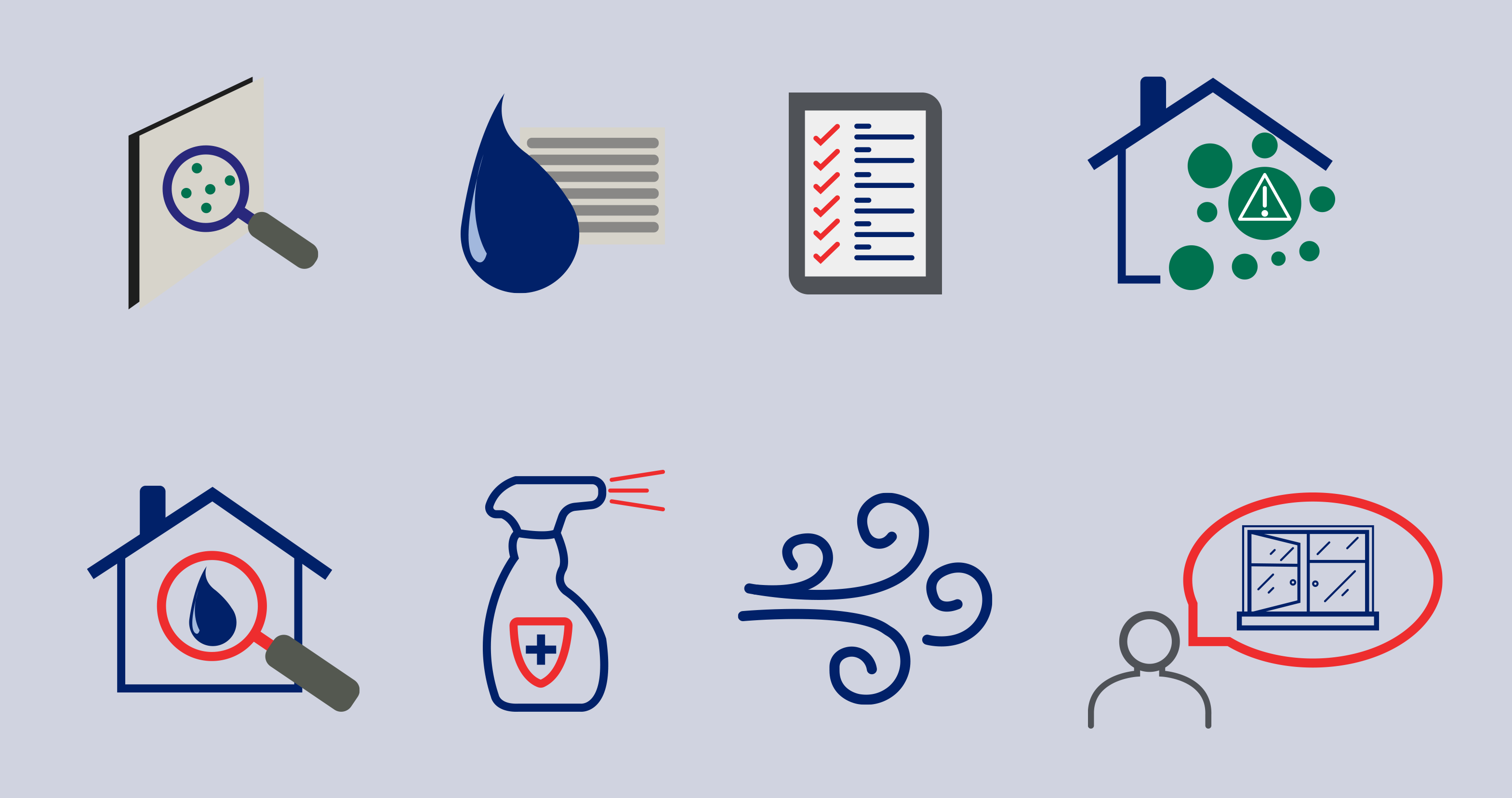 informative iconography, graphic design and website design for dulux decorator centre