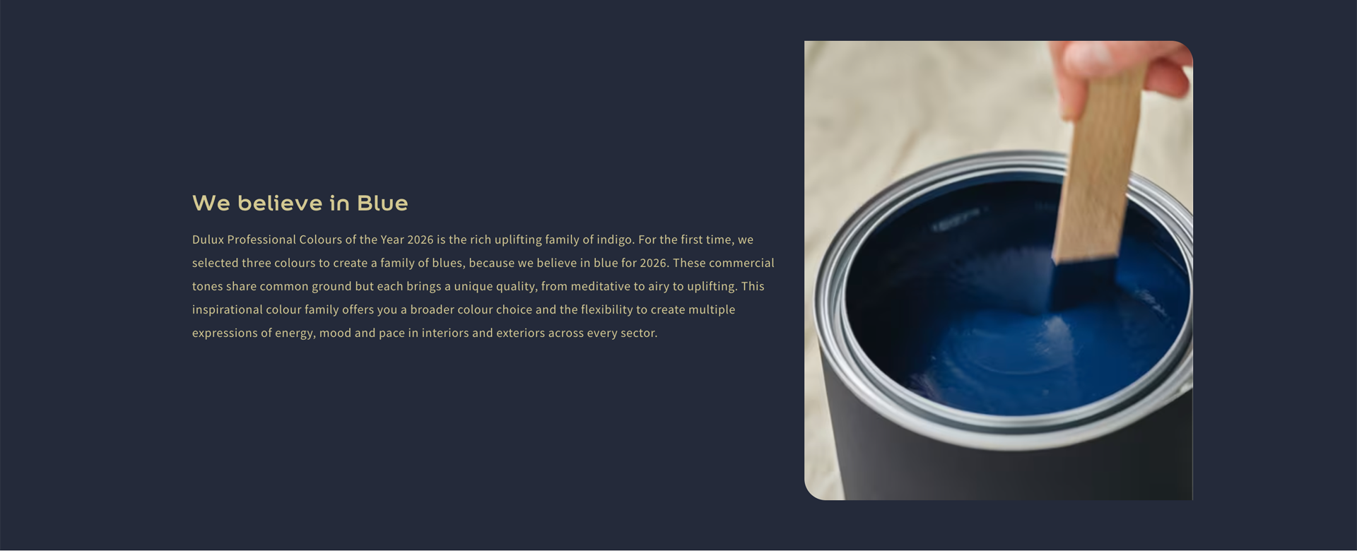 website design for businesses in Mancehster