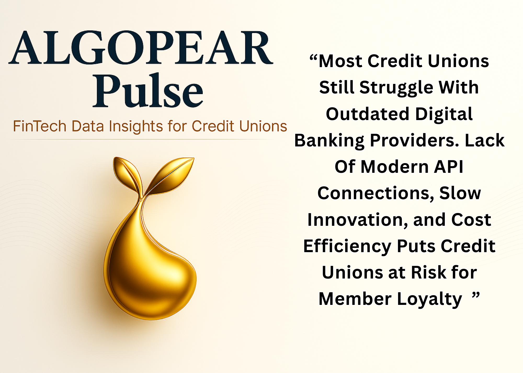“Most Credit Unions Still Struggle With Outdated Digital Banking Providers. Lack Of Modern API Connections, Slow Innovation, and Cost Efficiency Puts Credit Unions at Risk for Member Loyalty  ”