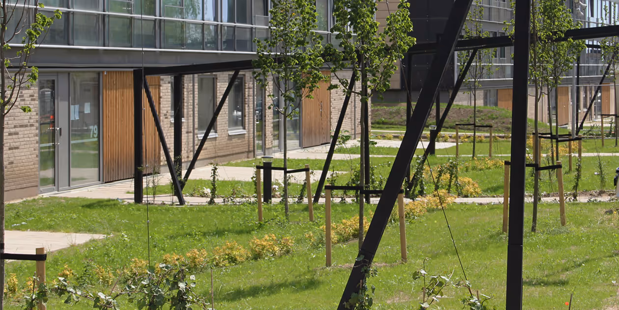 bispehaven byudvikling landskab bymunch landskabsarkitektur LAR dgnb biodiversitet regnbed