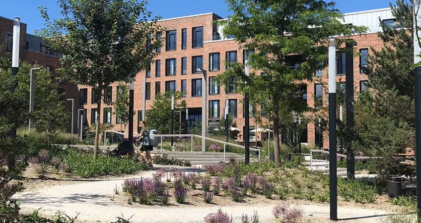 Budolfi plads byudvikling landskab bymunch landskabsarkitekt LAR dgnb biodiversitet regnbed