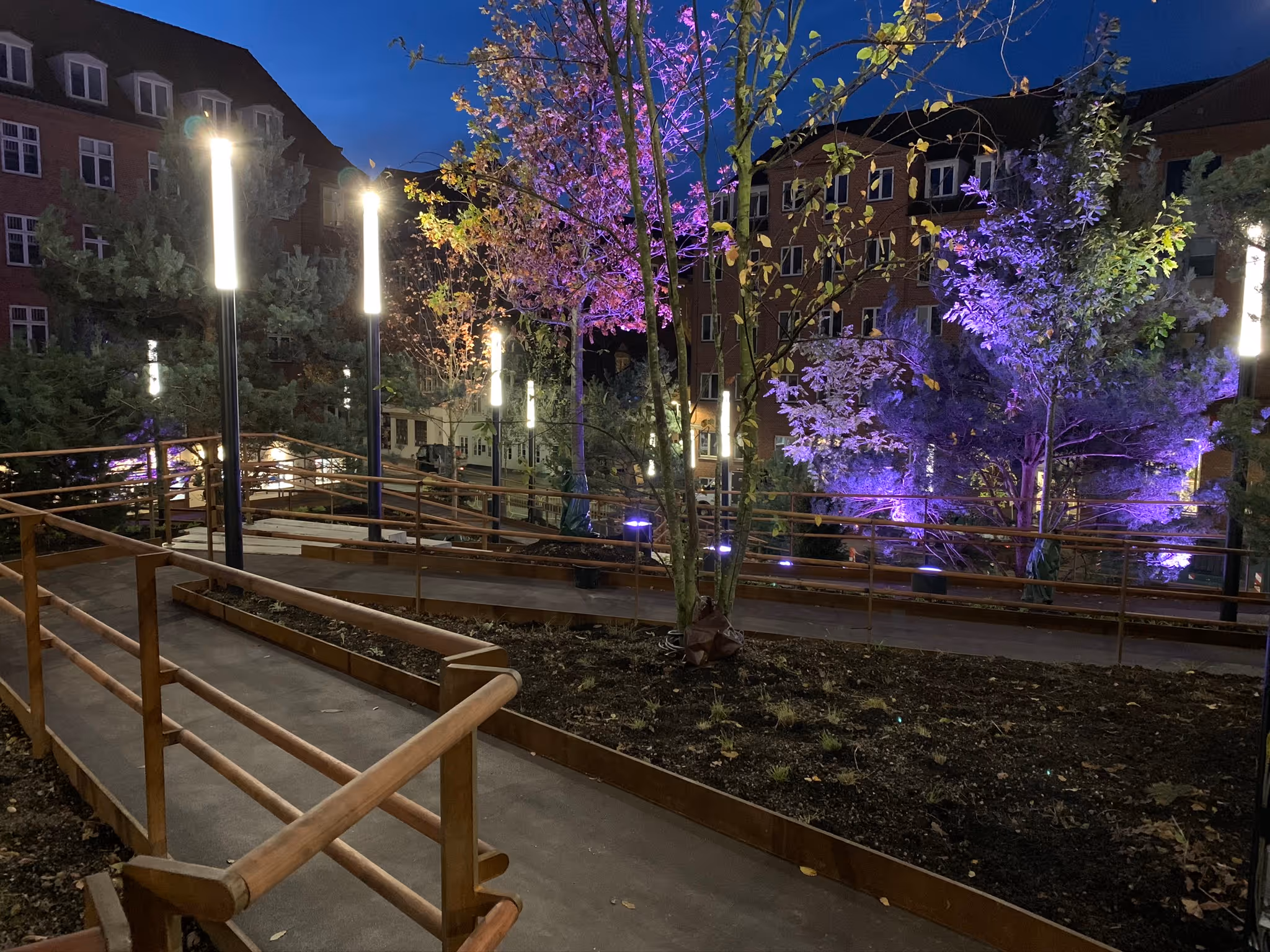 Budolfi plads byudvikling landskab bymunch landskabsarkitekt LAR dgnb biodiversitet regnbed