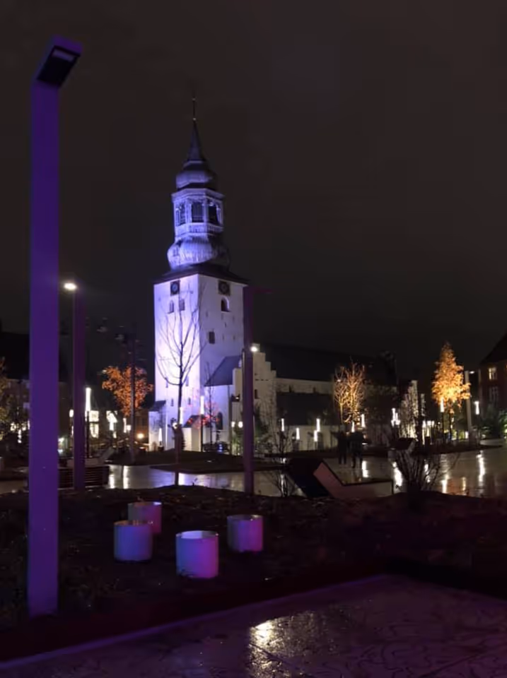 Budolfi plads byudvikling landskab bymunch landskabsarkitekt LAR dgnb biodiversitet regnbed