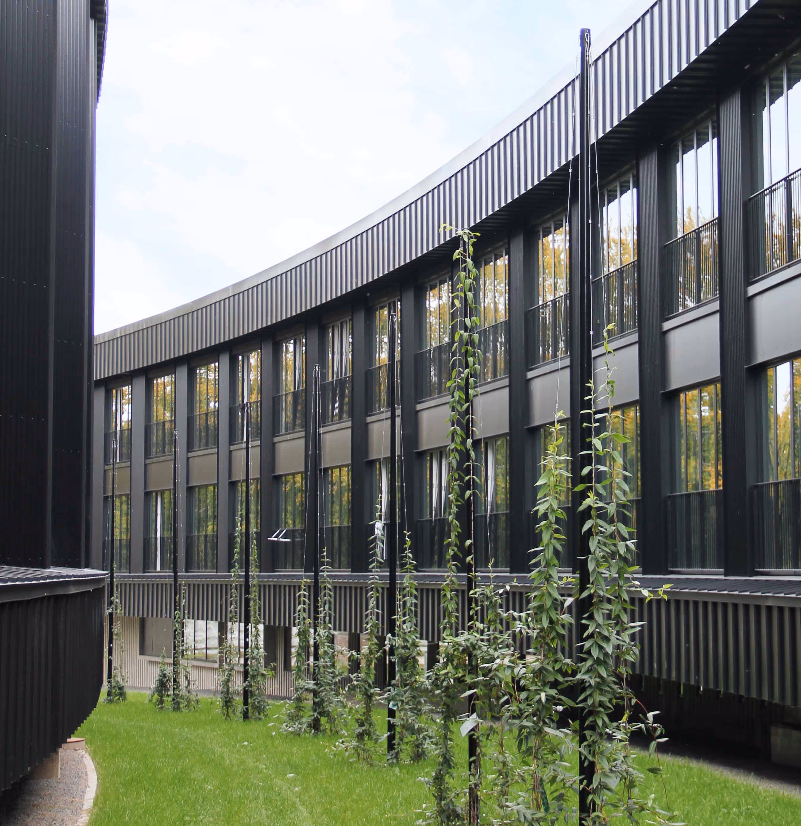 opholdsrum byfornyelse landskab bymunch landskabsarkitektur studiebolig LAR dgnb biodiversitet regnbed