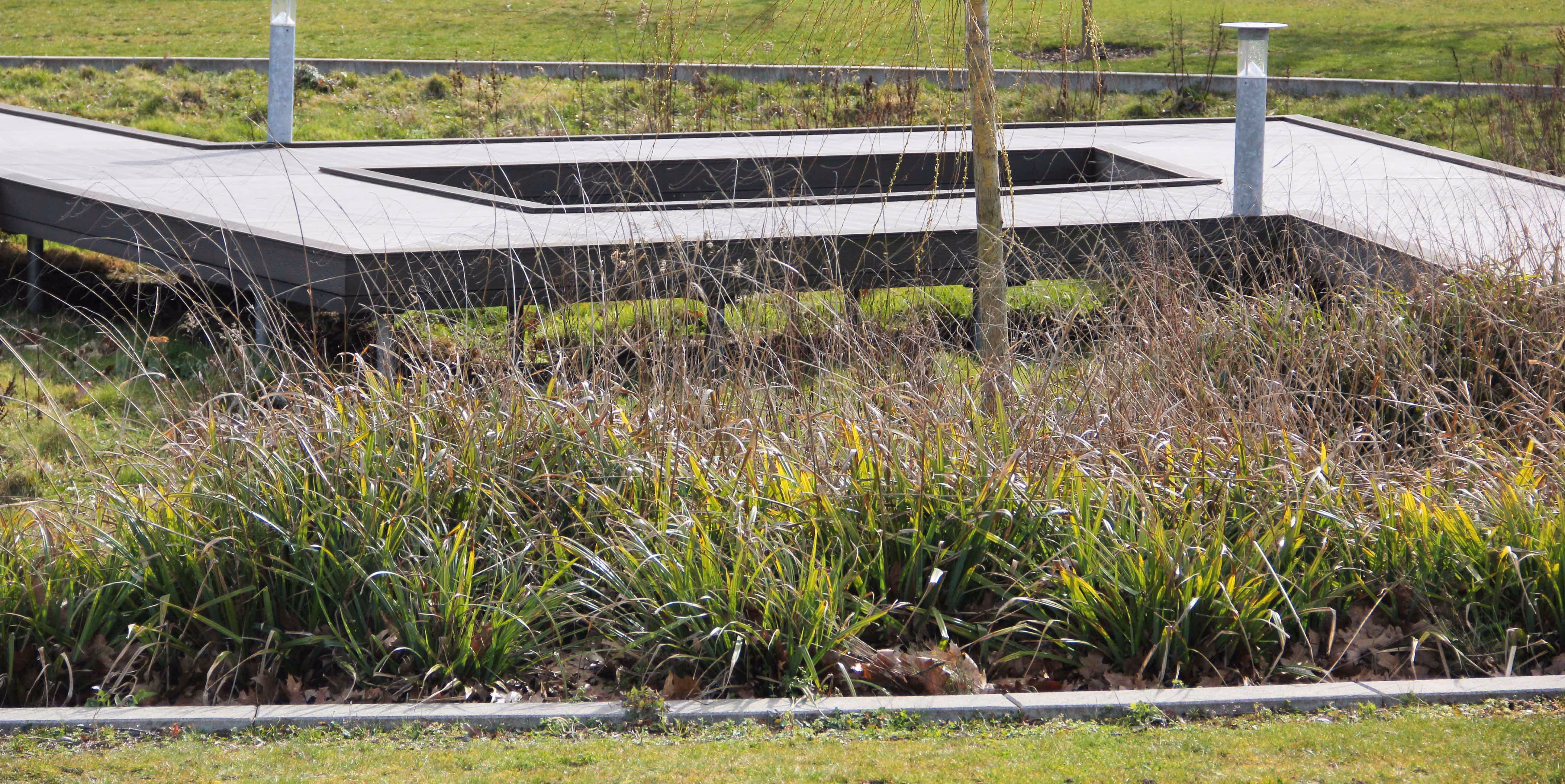 boligområde landskab bymunch landskabsarkitektur boligområde LAR dgnb biodiversitet regnbed