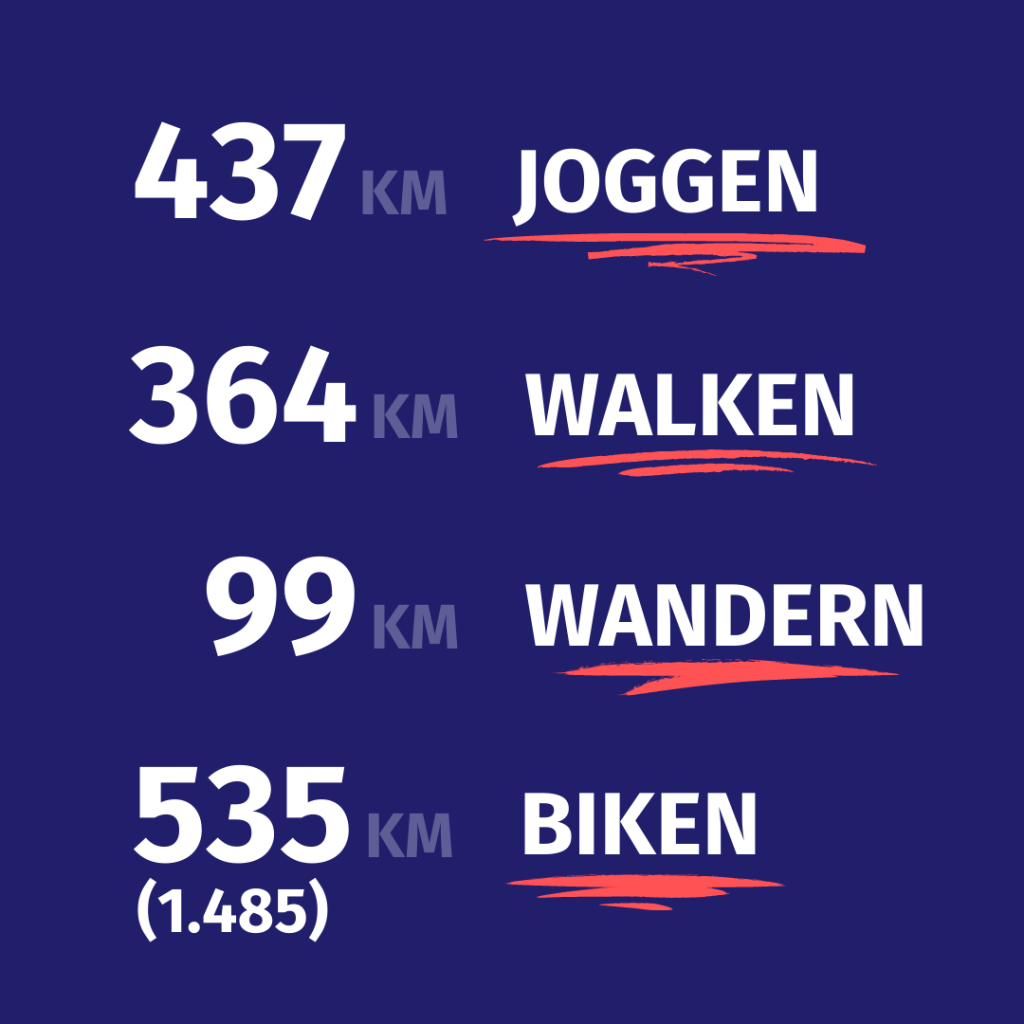 XIMPL-RemoteRun-3-Statistik-1024x1024