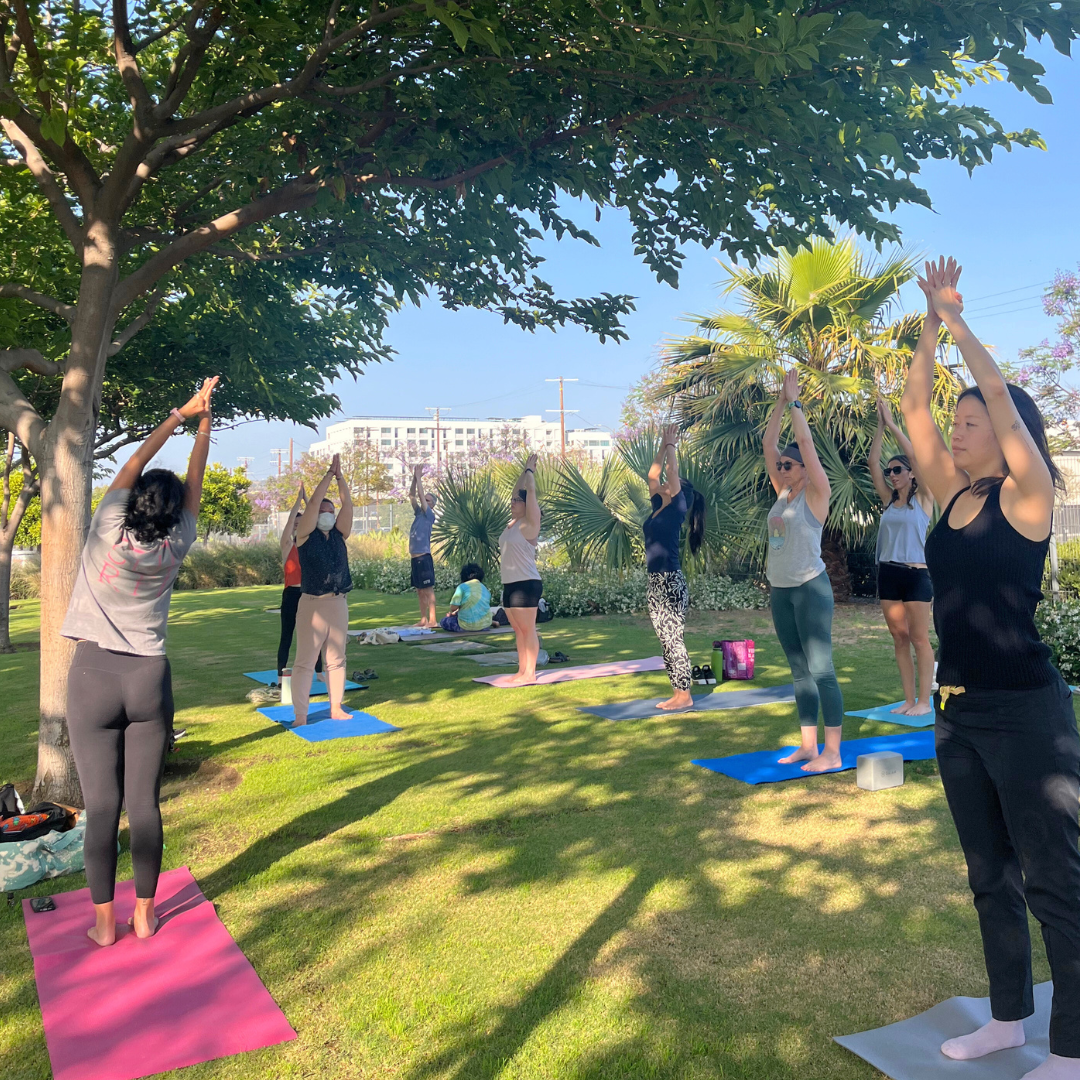 A group of people stand on yoga mats outdoors, reaching their arms overhead during a yoga class led by Carly.