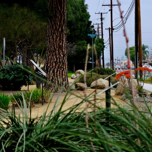 A park path surrounded by greenery.