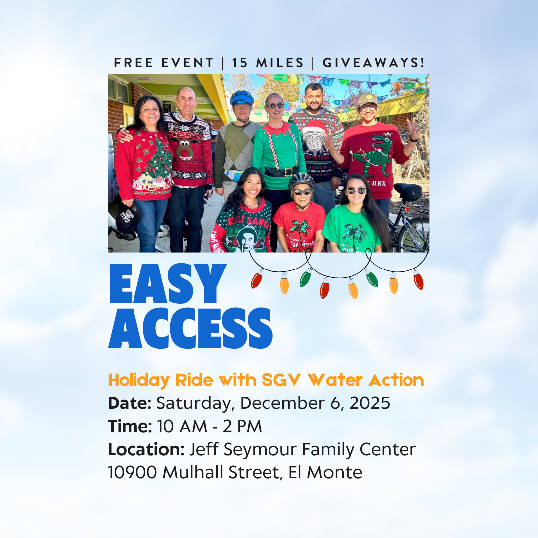 Easy Access Flyer