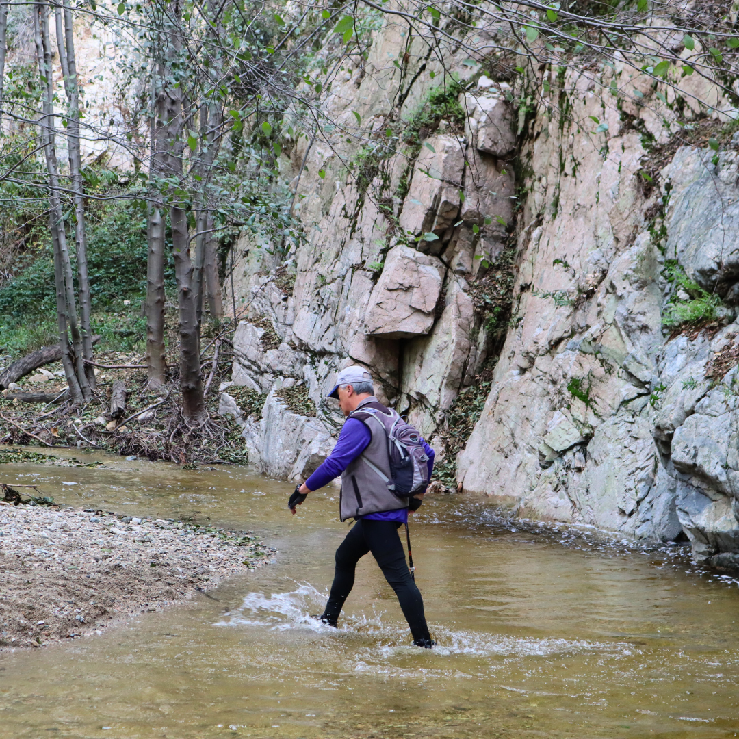 A hiker walks through a shallow creek with tall rock walls and trees in the background.