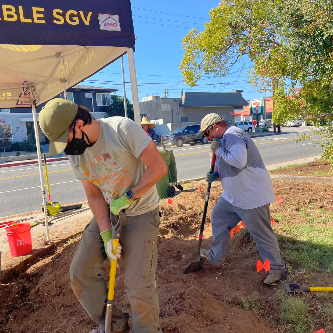 Volunteers dig and shape the ground near a sidewalk while working on a rain garden installation.