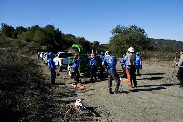 Fuel reduction team on a trail.