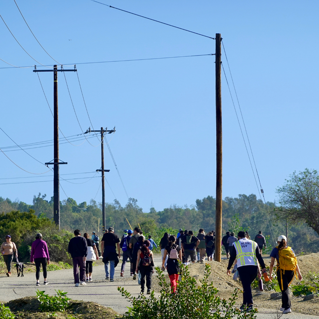 A group of people walk along a wide trail through a natural open space on a sunny day.
