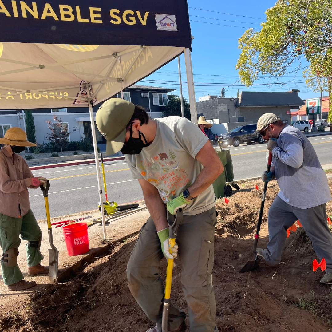 Volunteers dig and shape soil along a sidewalk under an ActiveSGV canopy during a rain garden installation.