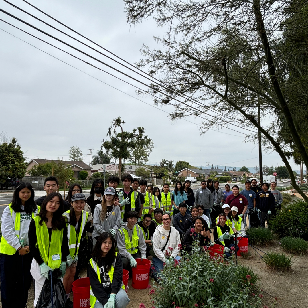  A large group of volunteers in safety vests pose together in a landscaped median with tools and buckets.