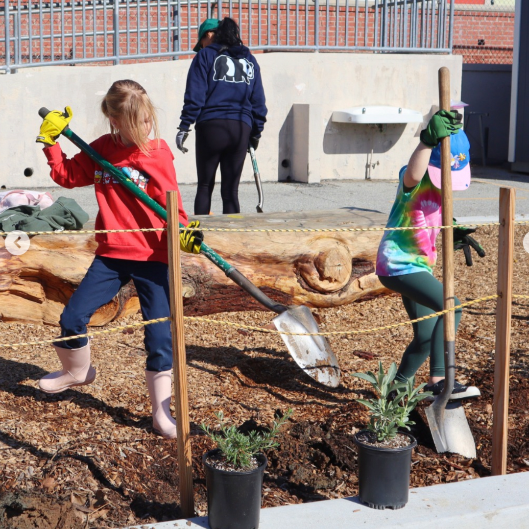Two children using shovels to plant in a school garden while an adult works nearby.