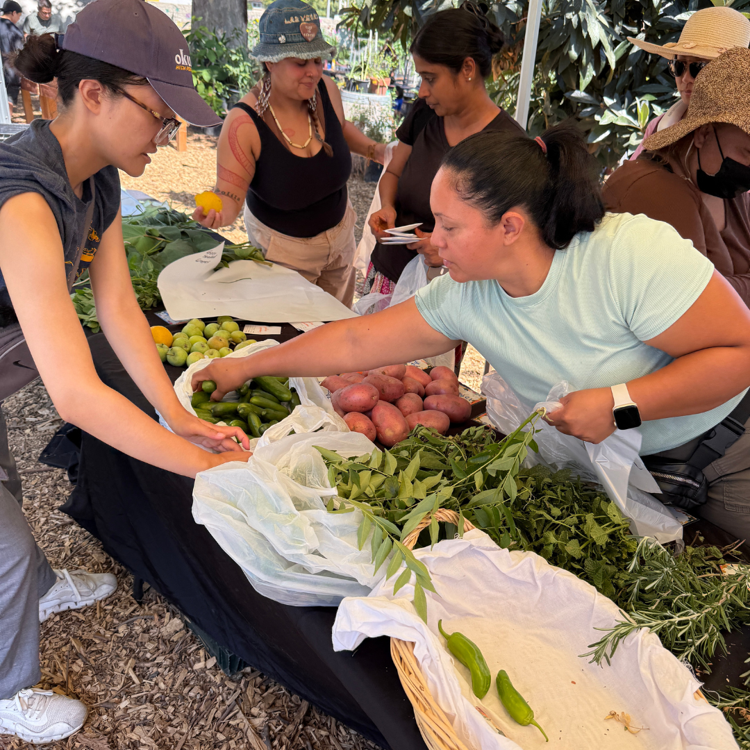 Community members exchanging fresh produce like peppers, potatoes, and herbs at an outdoor table.