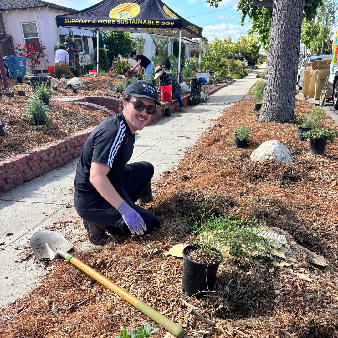Volunteer kneels in a rain garden planting native plants while others work nearby.