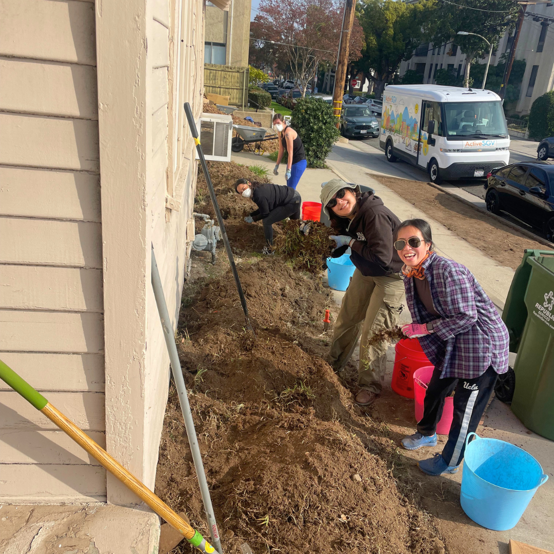 Volunteers remove grass and prepare a front yard for a rain garden installation.