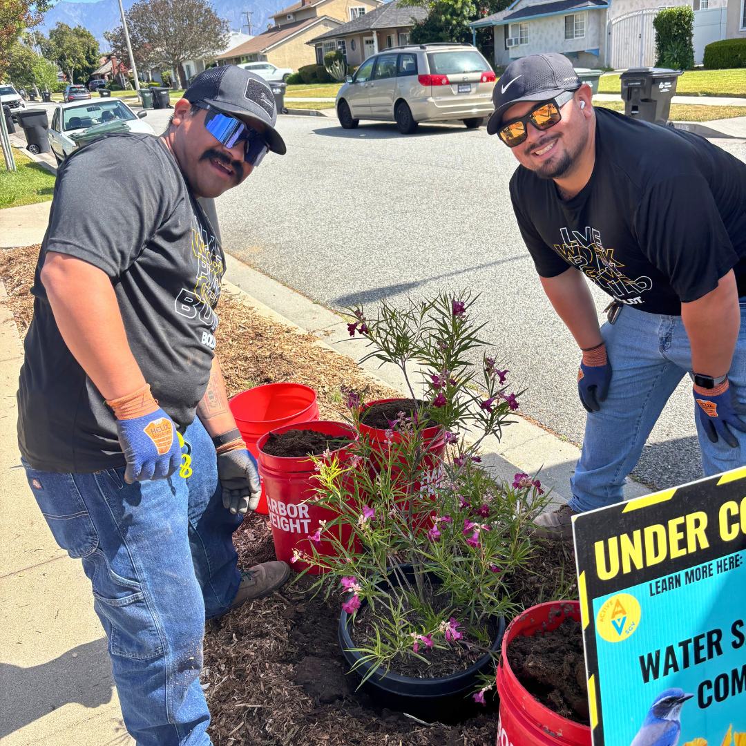 Volunteers plant native flowers and shrubs in a residential rain garden.