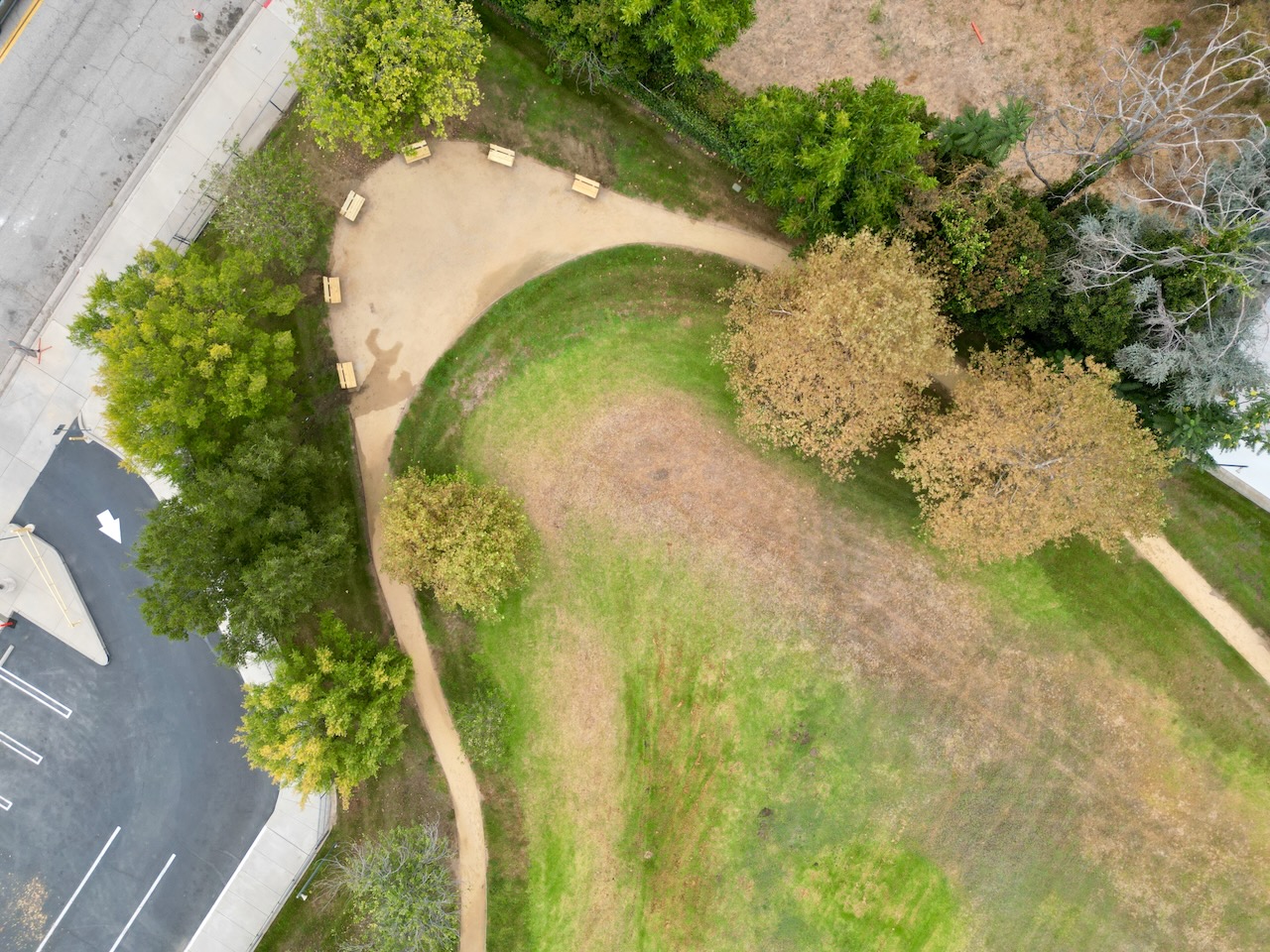 Overhead view of the new walking loop and benches curving past mature trees beside the Gidley play field.