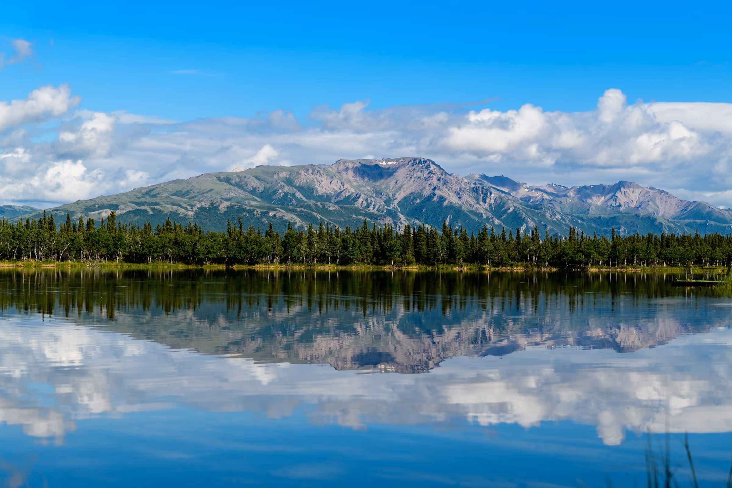 Best Birth Certificate Online Application and Replacement Service in Alaska