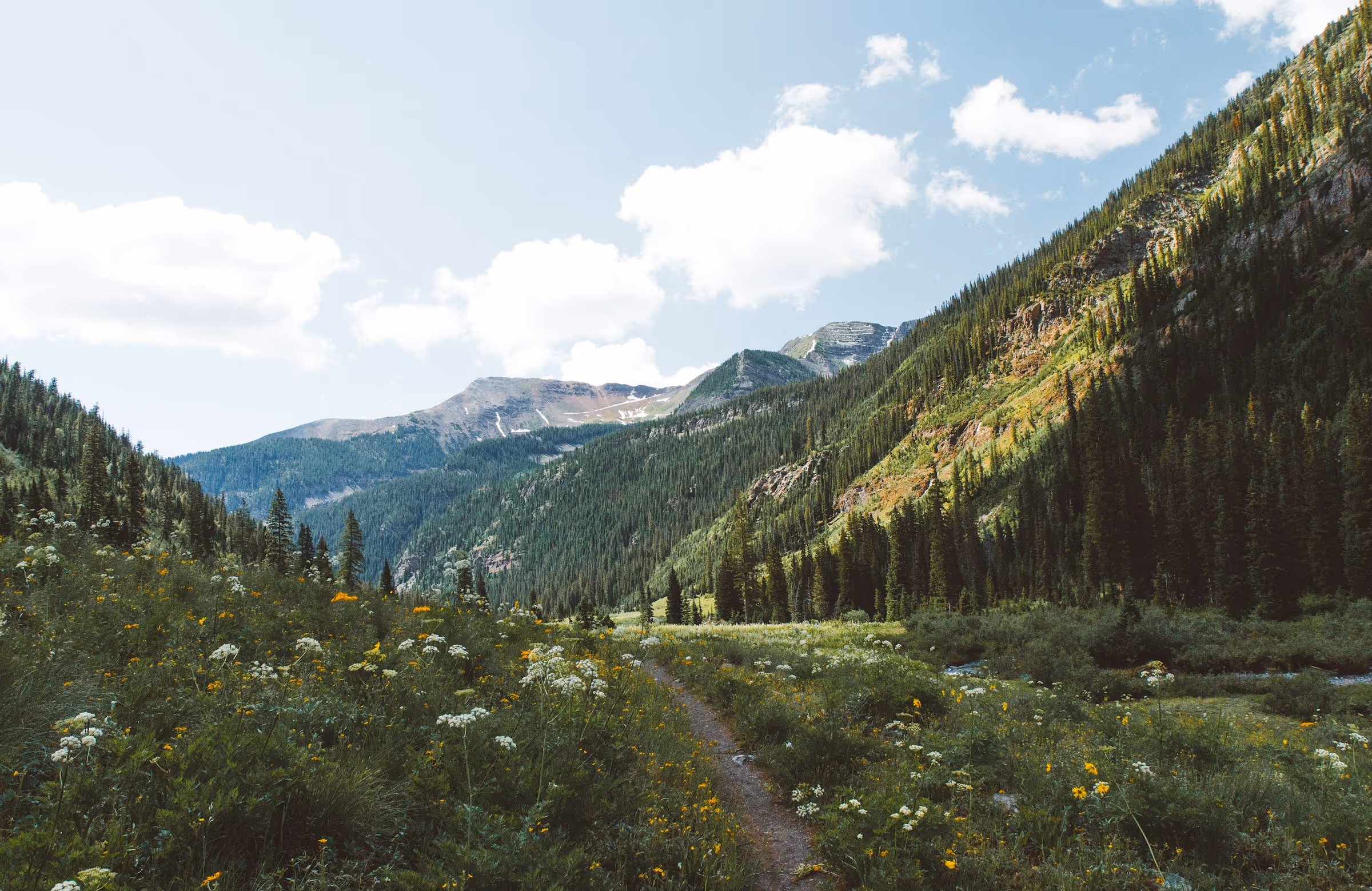 Best Birth Certificate Online Application and Replacement Service in Colorado
