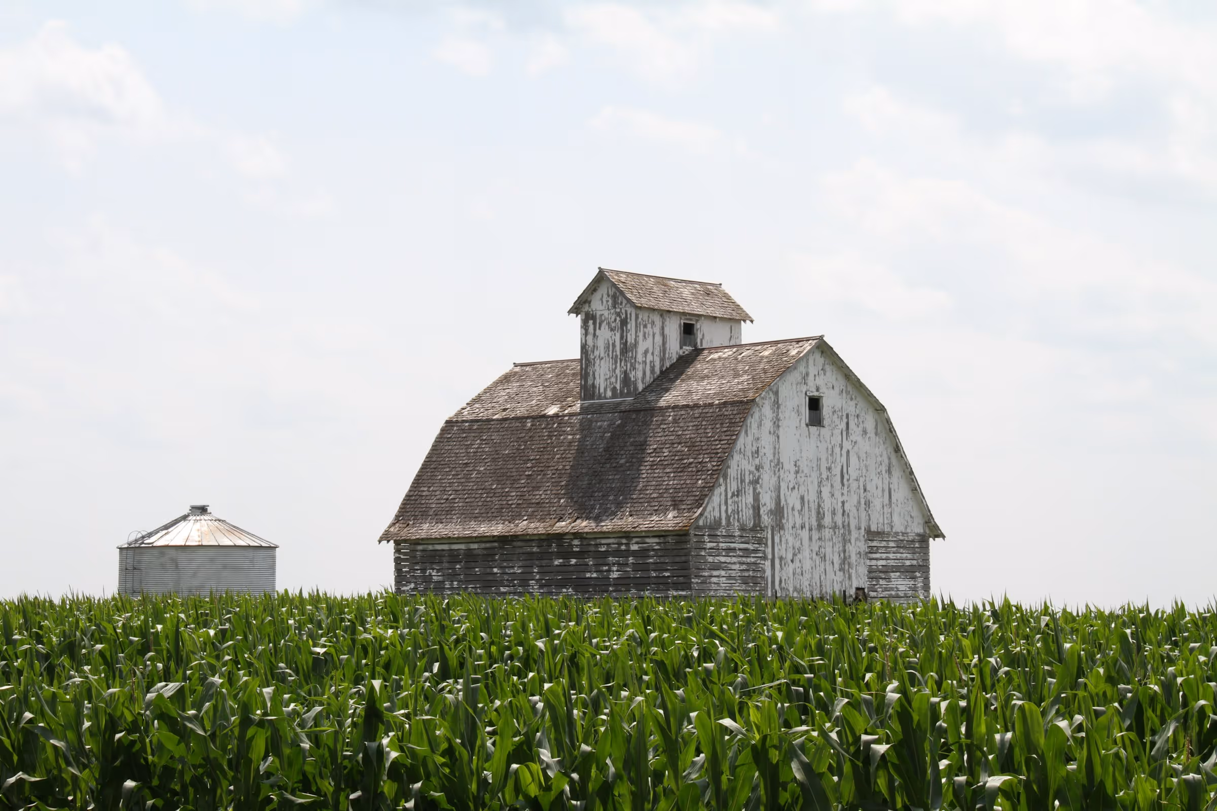 Best Birth Certificate Online Application and Replacement Service in Iowa