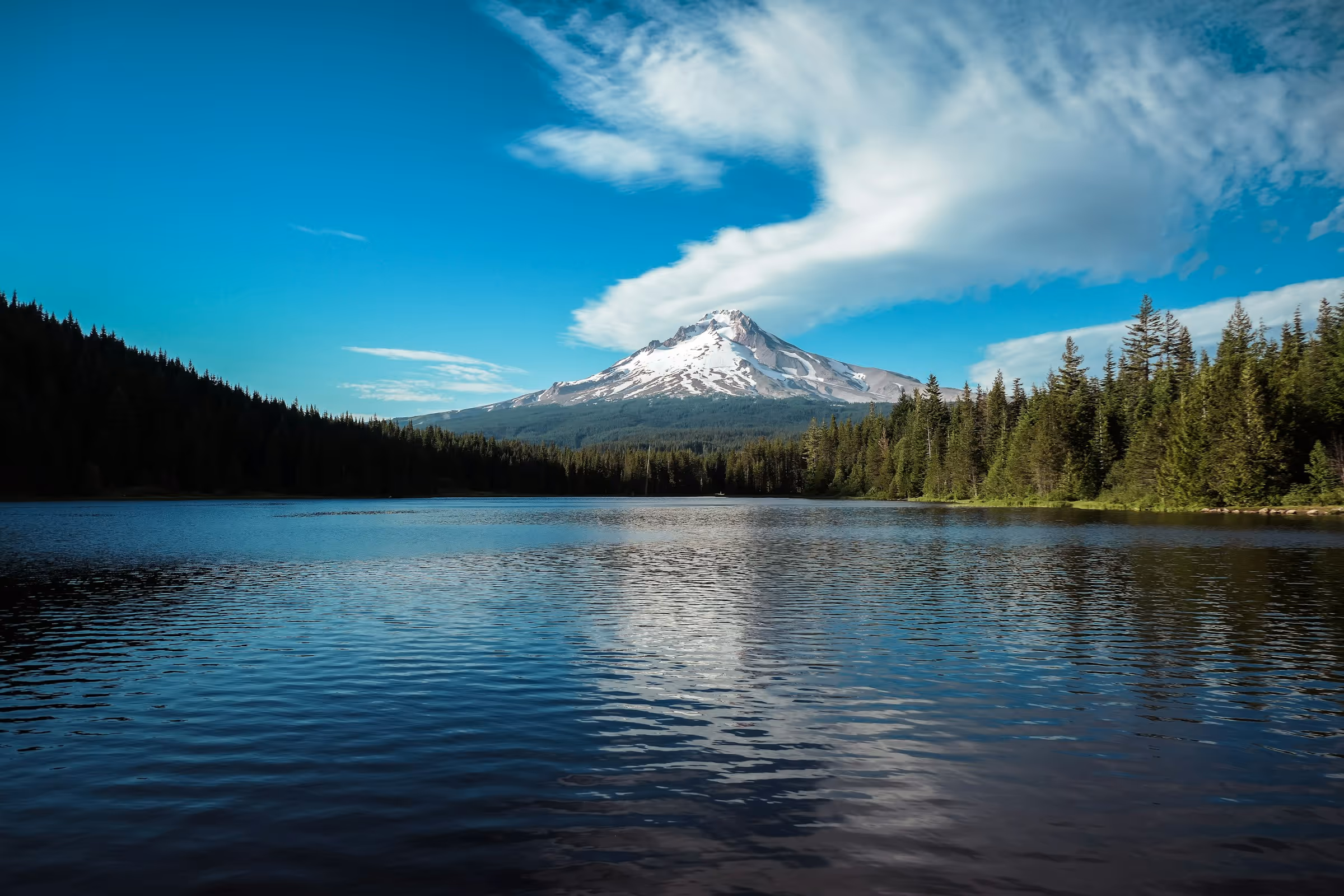 Best Birth Certificate Online Application and Replacement Service in Oregon