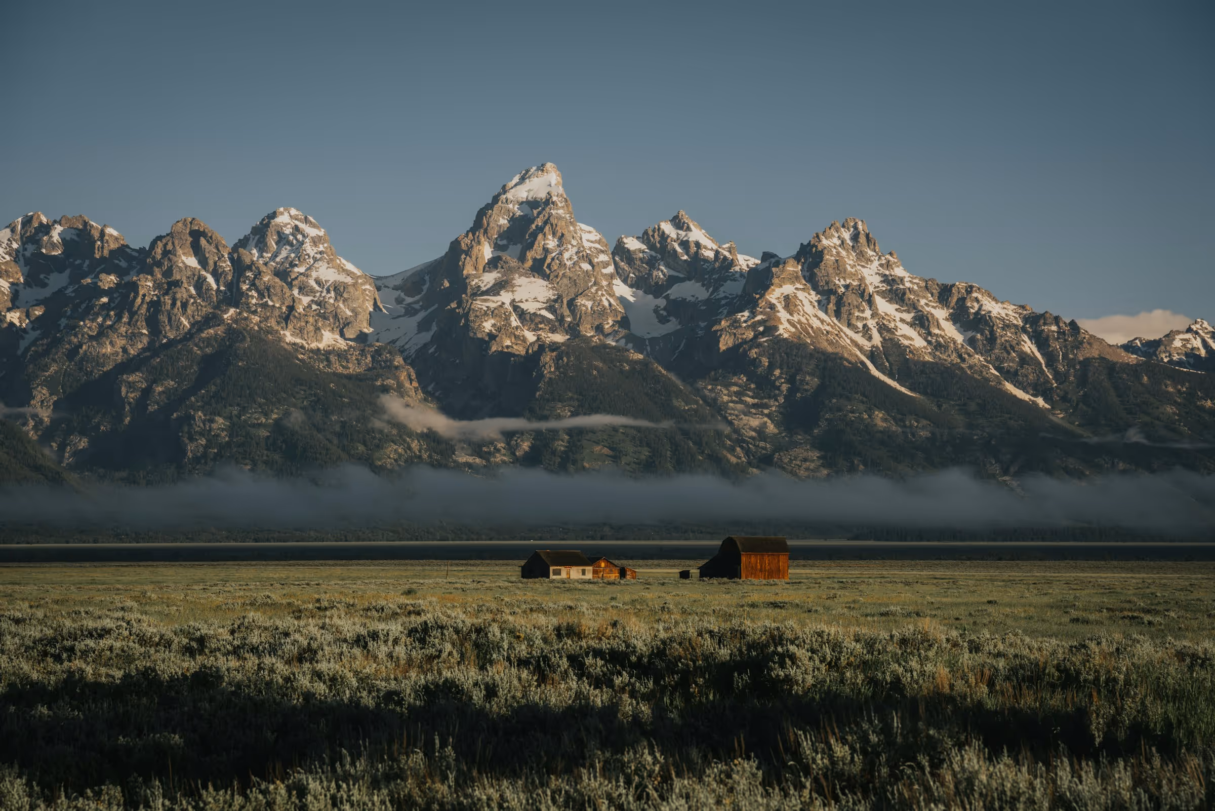 Best Birth Certificate Online Application and Replacement Service in Wyoming