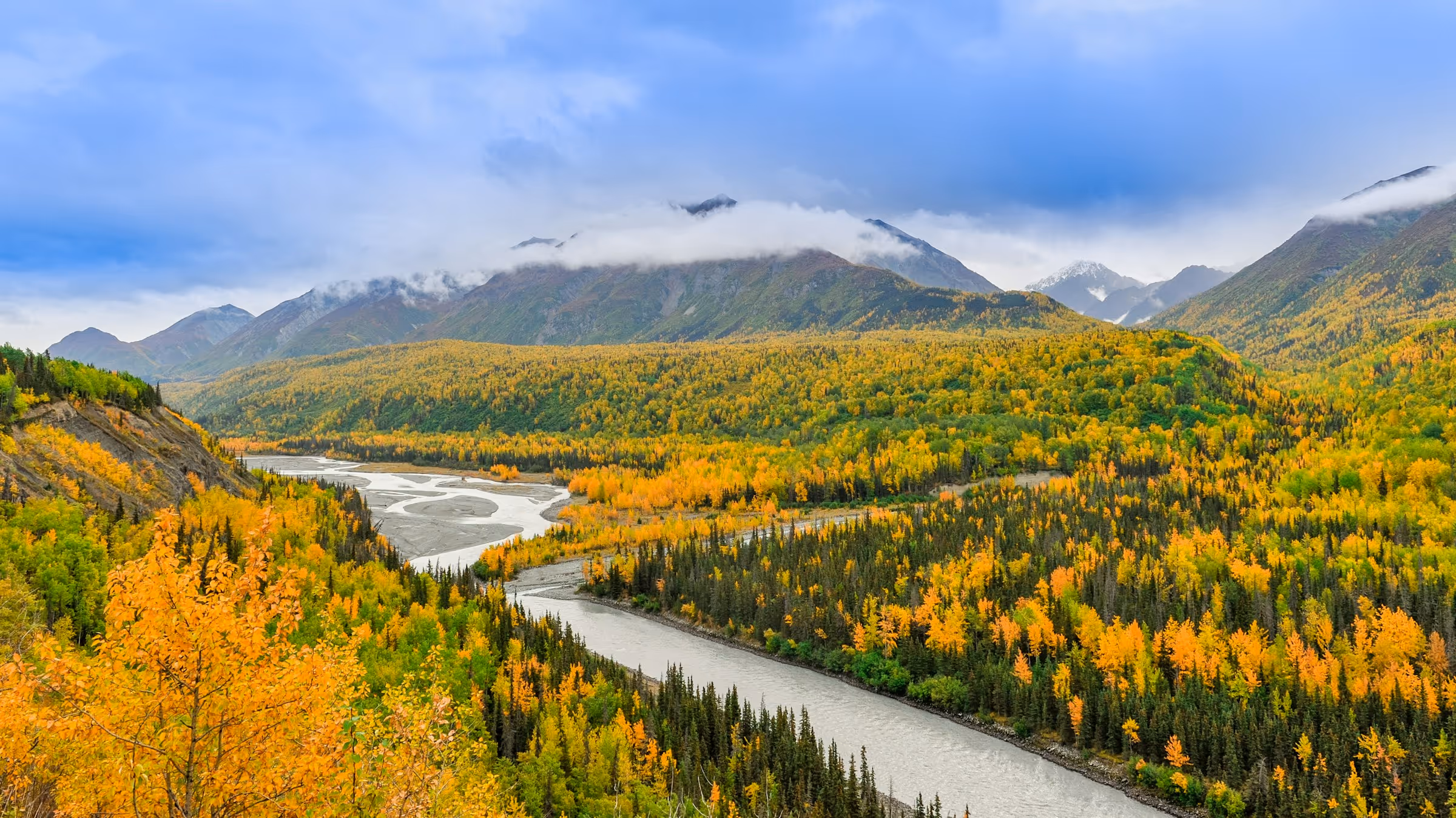 Best TSA PreCheck Application, Appointment, and Online Renewal Service in Alaska
