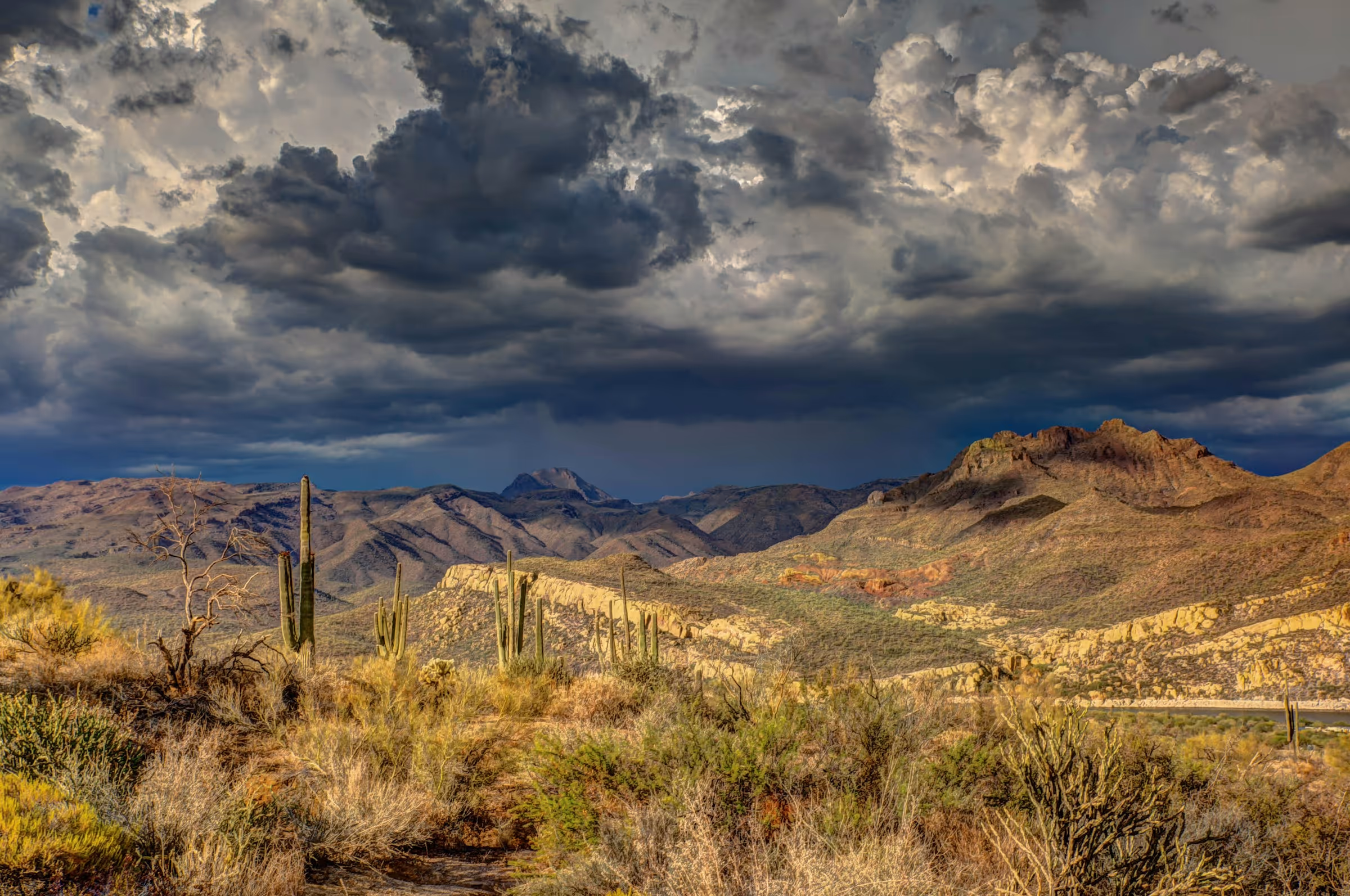 Best TSA PreCheck Application, Appointment, and Online Renewal Service in Arizona